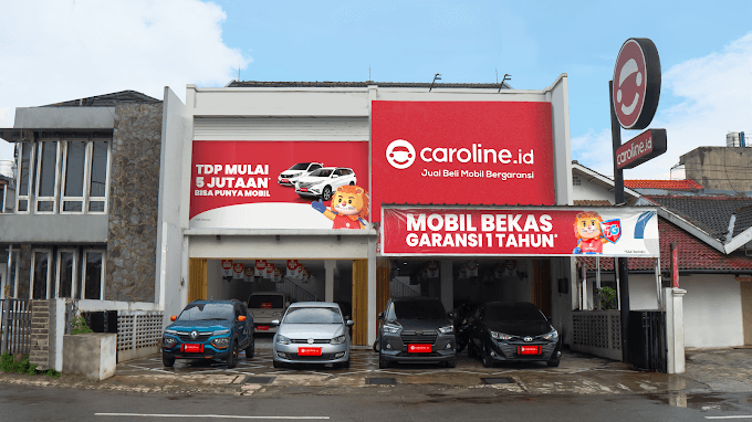 Caroline Cinere.png