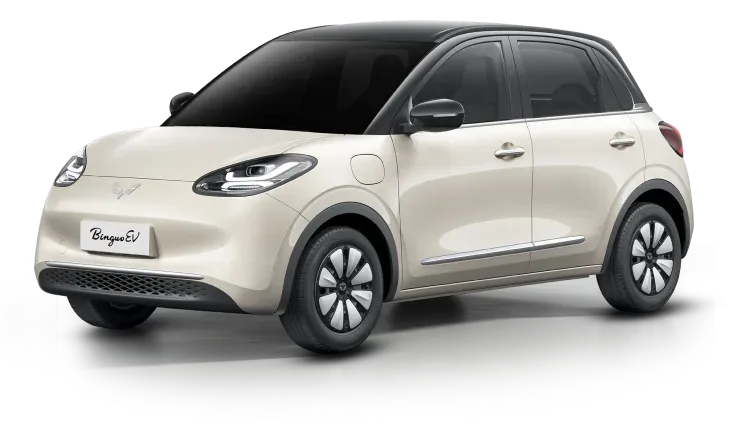 Pengenalan Wuling BinguoEV.
